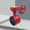 butterfly valve