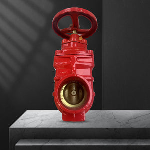 Grooved protective gate valve