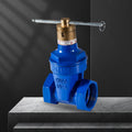 Threaded soft-sealing front gate valve