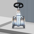 304 Stainless Steel Protective Gate Valve