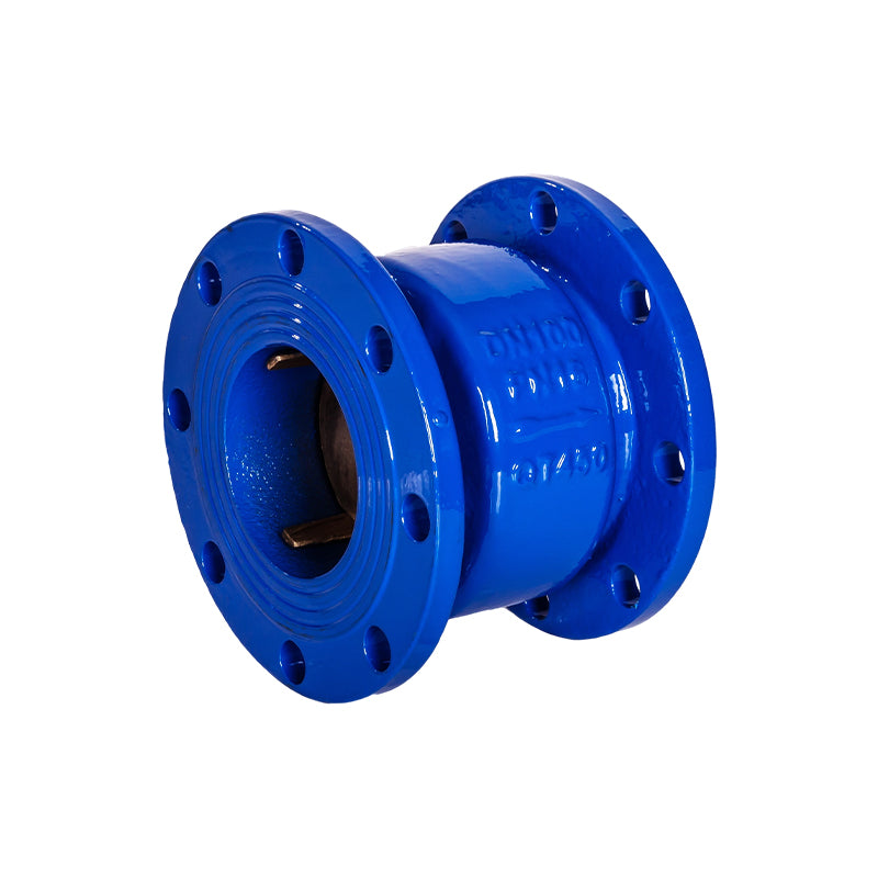 check valve