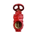 Grooved protective gate valve