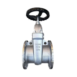 304 Stainless Steel Protective Gate Valve