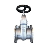 304 Stainless Steel Protective Gate Valve