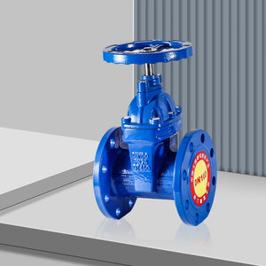 Flange Gate Valve