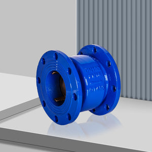 check valve